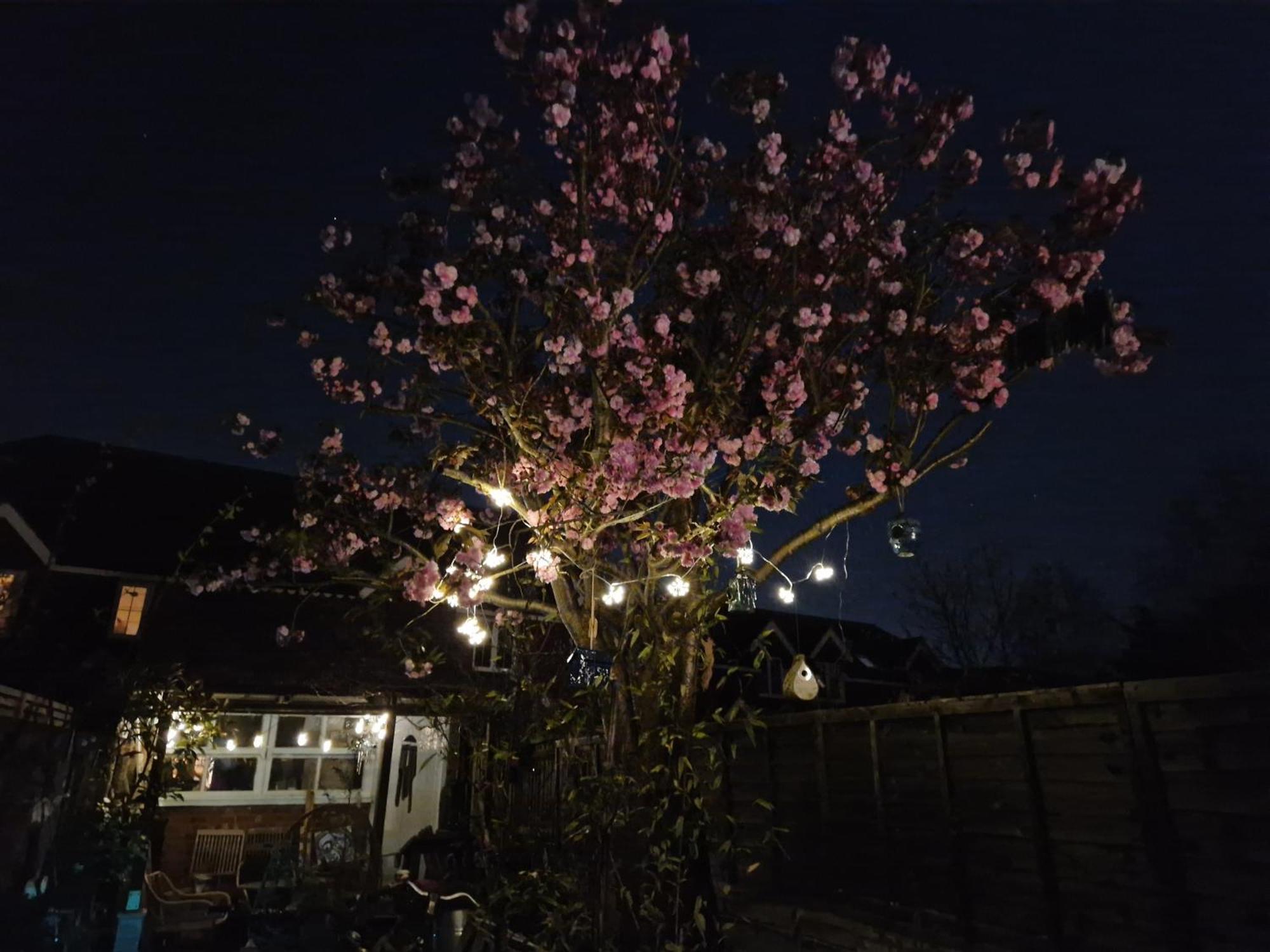Lotus Pod House Homestay Horsell Экстерьер фото