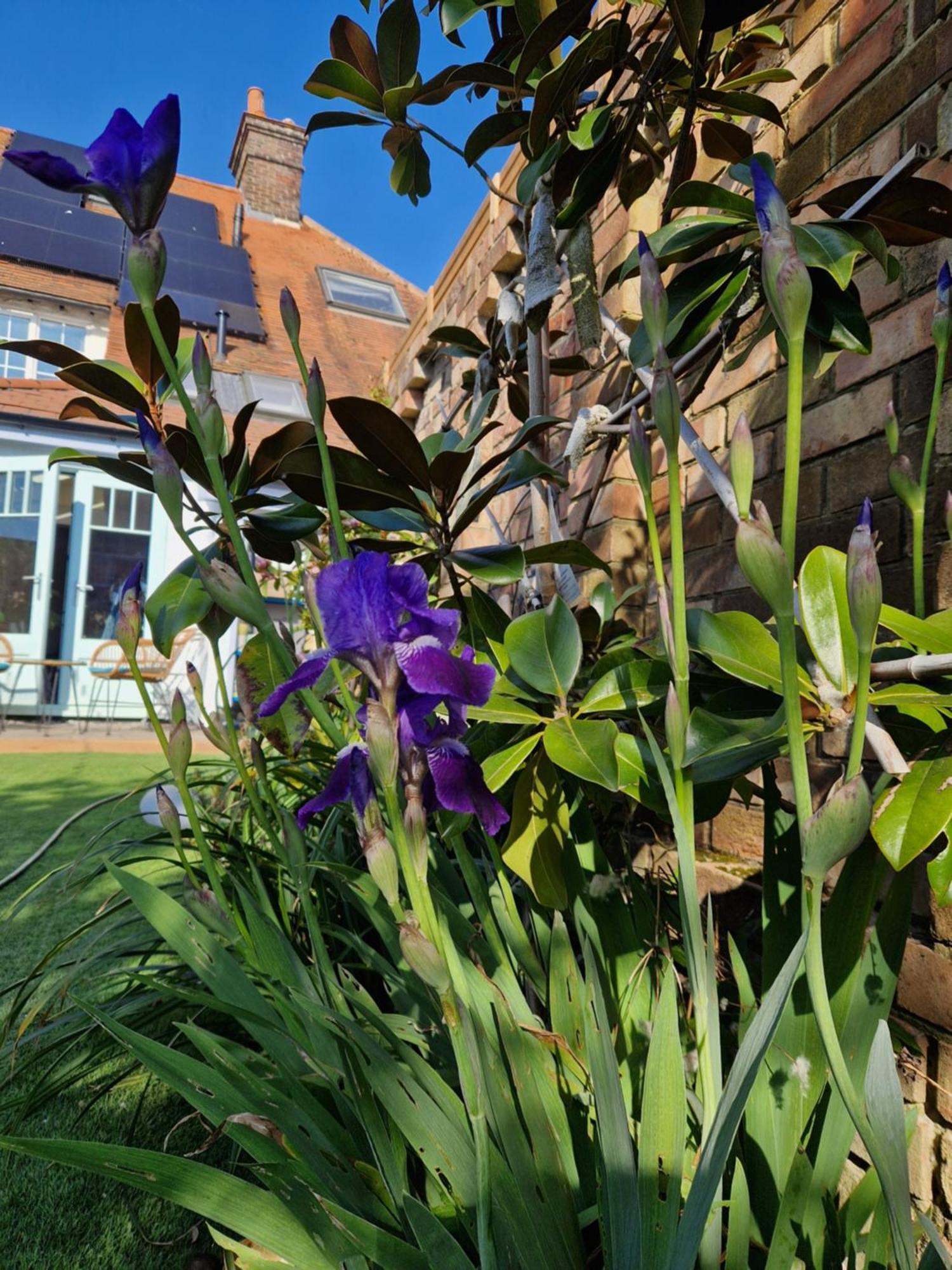 Lotus Pod House Homestay Horsell Экстерьер фото